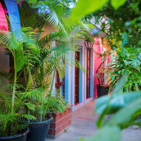 Hotel Las Golondrinas Oaxaca Екстер'єр фото
