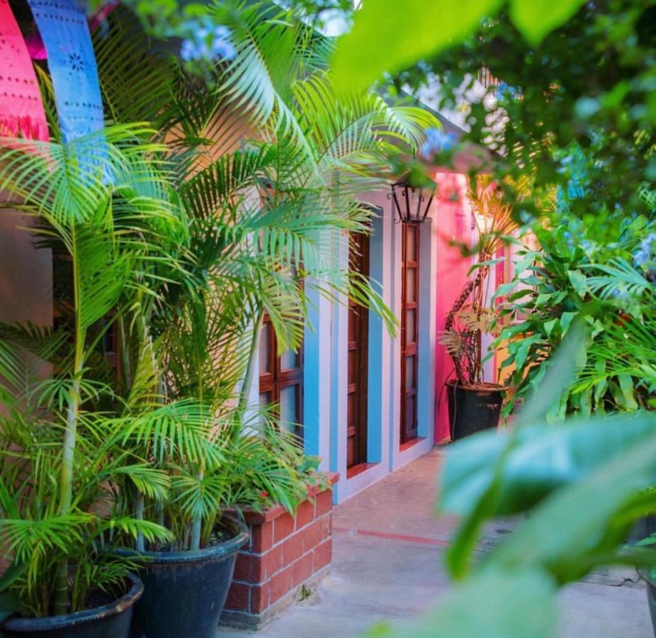 Hotel Las Golondrinas Oaxaca Екстер'єр фото