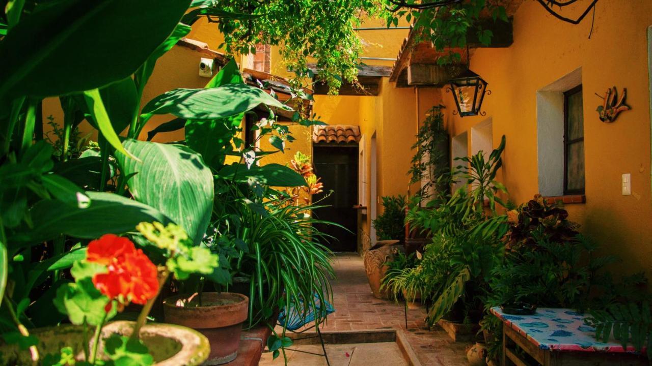 Hotel Las Golondrinas Oaxaca Екстер'єр фото