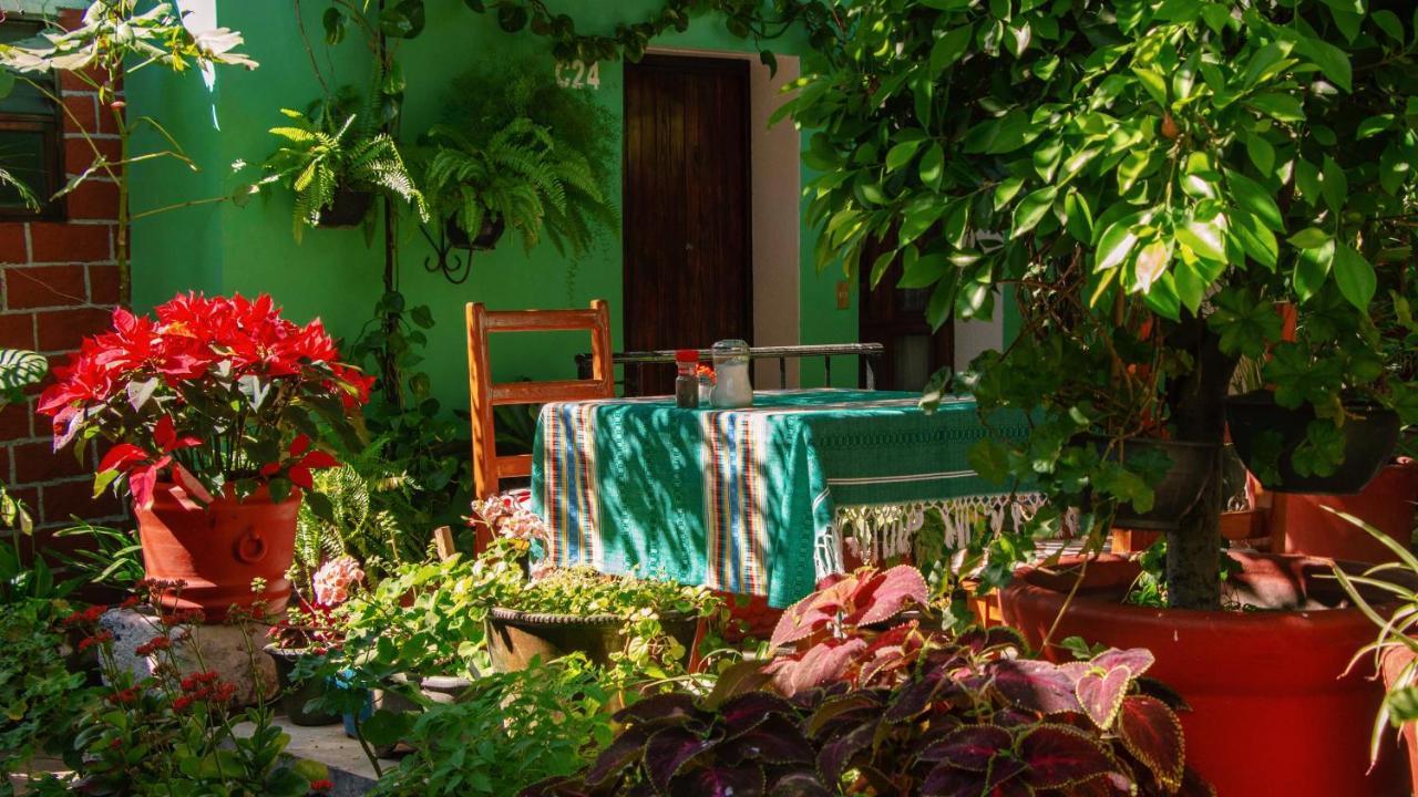 Hotel Las Golondrinas Oaxaca Екстер'єр фото
