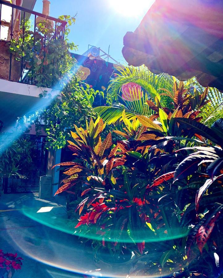 Hotel Las Golondrinas Oaxaca Екстер'єр фото