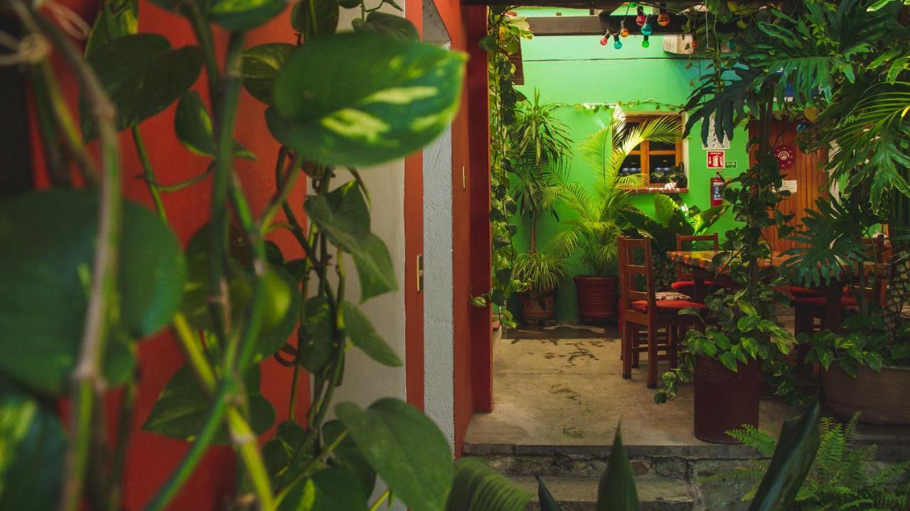 Hotel Las Golondrinas Oaxaca Екстер'єр фото
