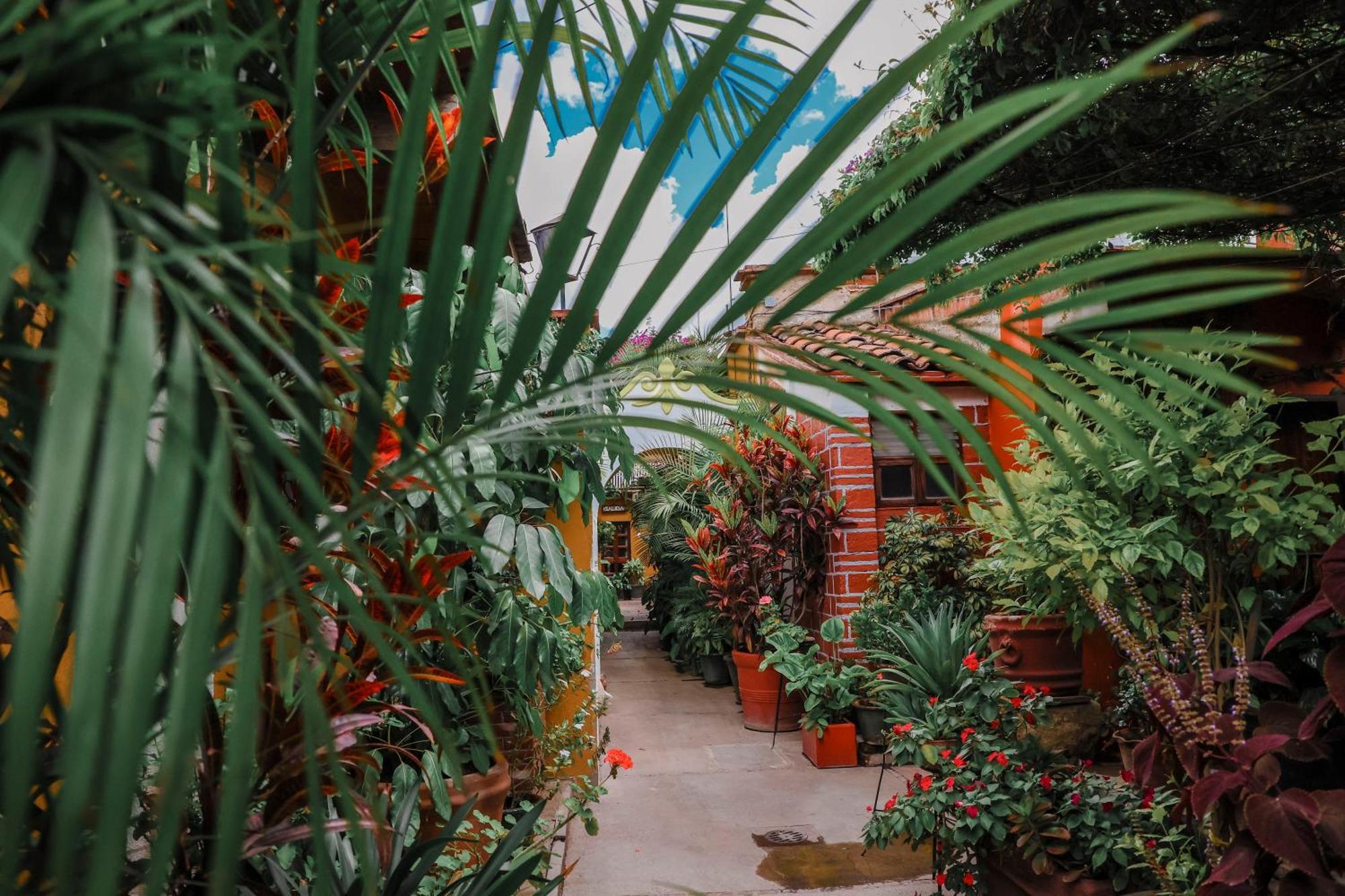 Hotel Las Golondrinas Oaxaca Екстер'єр фото