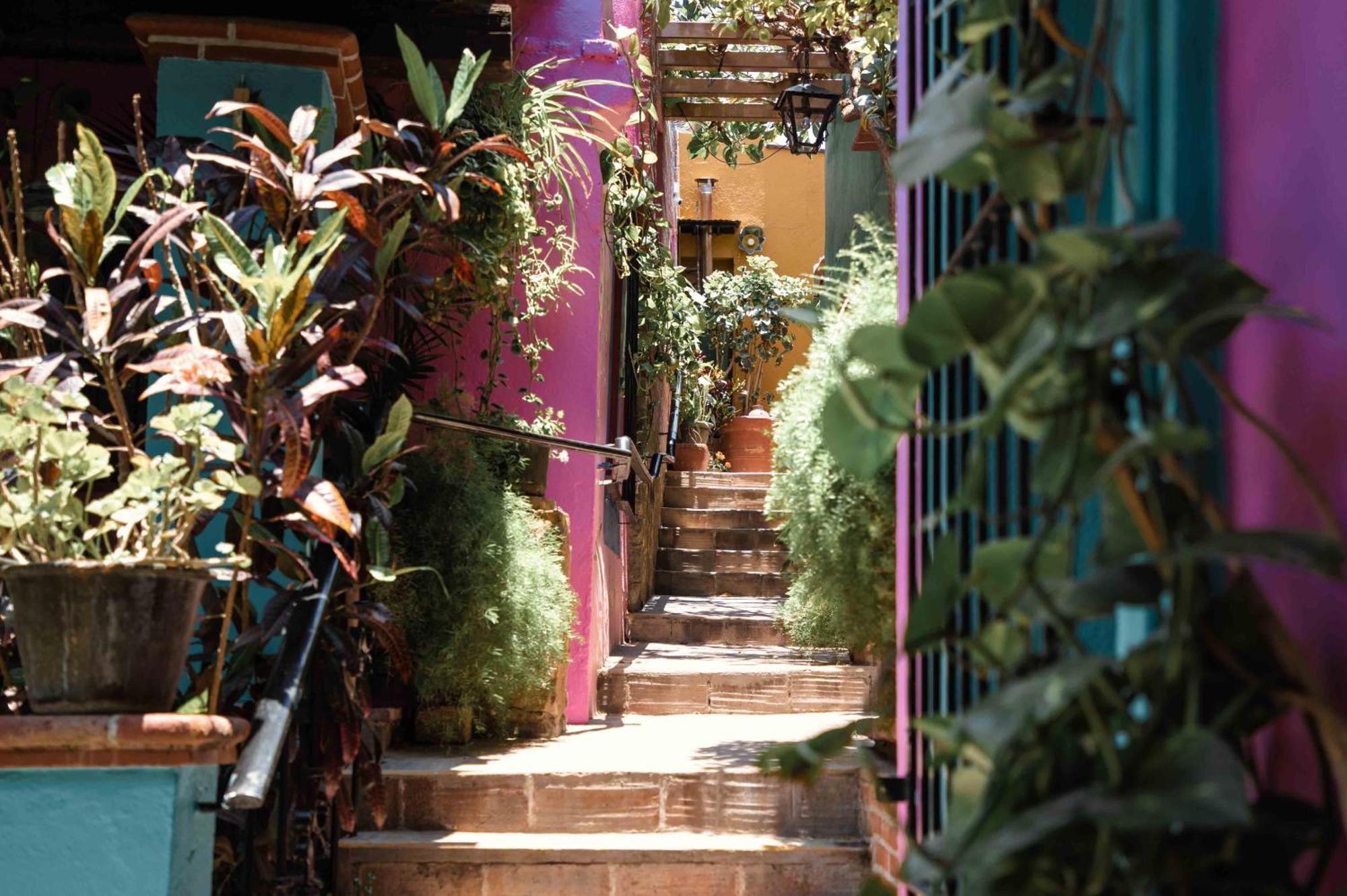Hotel Las Golondrinas Oaxaca Екстер'єр фото
