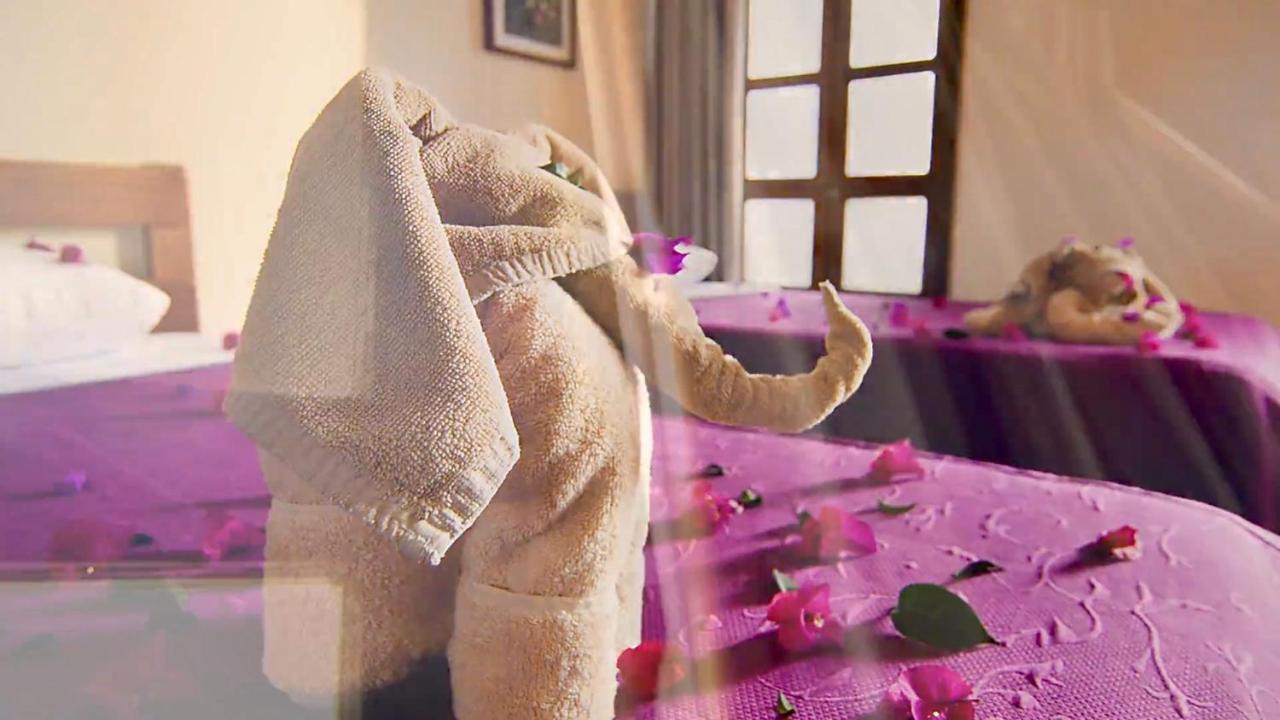 Hotel Las Golondrinas Oaxaca Екстер'єр фото