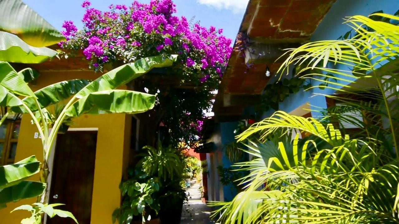 Hotel Las Golondrinas Oaxaca Екстер'єр фото