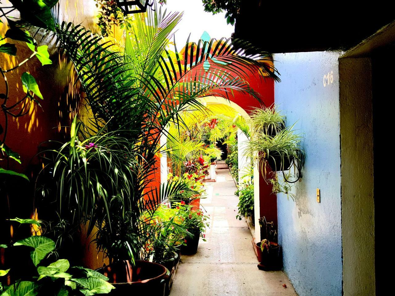 Hotel Las Golondrinas Oaxaca Екстер'єр фото